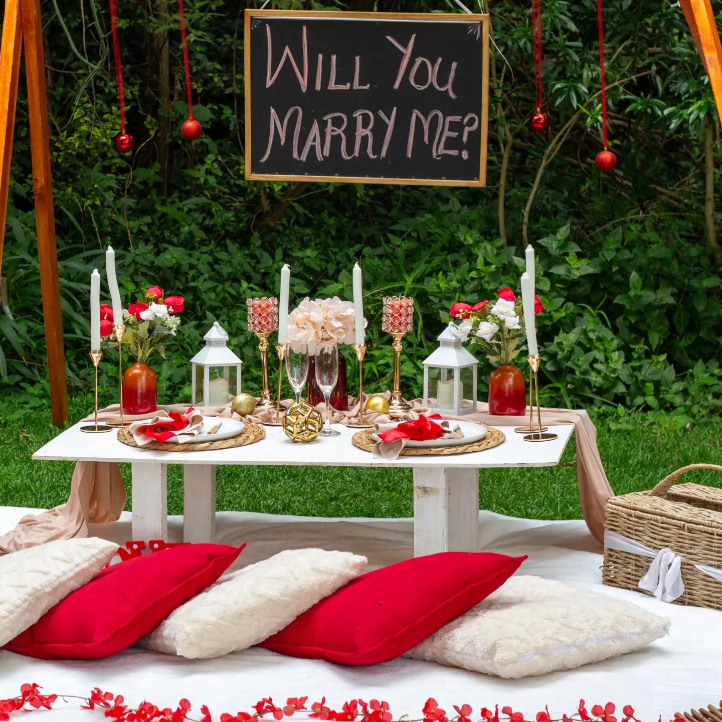 Couples Luxury Romantic Picnic - Setup Only