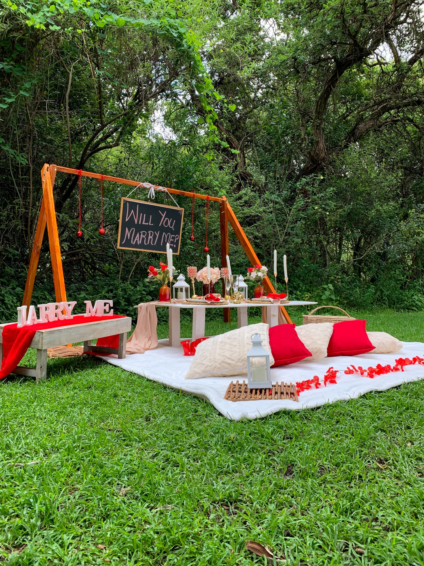 Couples Luxury Romantic Picnic - Setup Only